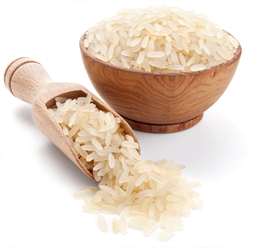 Jasmine Rice Stem Cell