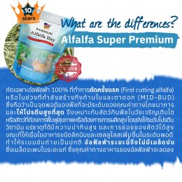 Randolph Alfalfa Super Premium 1st Cut 