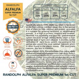 Randolph Alfalfa Super Premium 1st Cut 