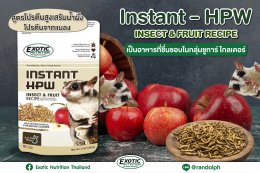  แรนดอล์ฟ-Exotic Nutrition EN Instant HPW Insect & Fruit ชูการ์ไกลเดอร์ รสแมลงผลไม้