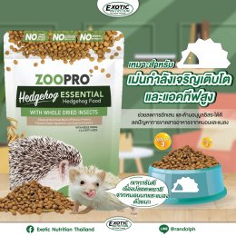  แรนดอล์ฟ-Exotic Nutrition ZooPro Hedgehog Essential อาหารเม็ดเม่นแคระ
