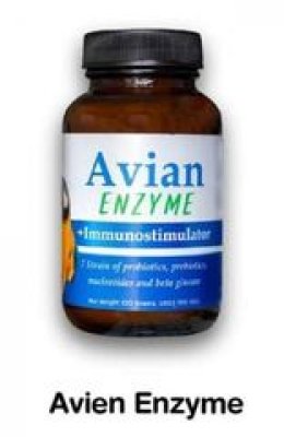 แรนดอล์ฟ Avian Enzyme เอเวียน เอนไซม์
