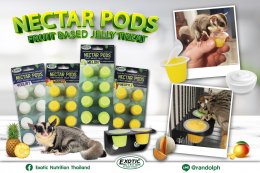 แรนดอล์ฟ-Exotic Nutrition NECTAR PODS Yogurt, Mango, Melon, Pineapple 