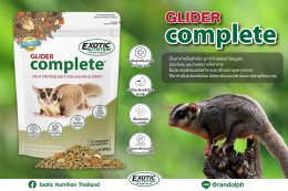 แรนดอล์ฟ-Exotic Nutrition Glider Complete อาหารชูก้าไรเดอร์สูตรสมบูรณ์ (907 กรัม)