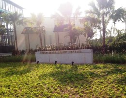 Grand Florida Pattaya
