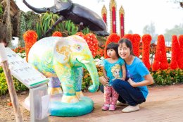 Chiang Rai Art Elephant at Chiang Rai Asean Flower Festival