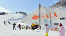 Deliver “Chiang Rai Art Elephant” to Gala Yuzawa Ski Resort, Niigata, Japan.