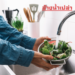 เครื่องล้างผัก โอโซน  วิธีล้างผักอย่างไรให้ปลอดภัยแก่การบริโภค
