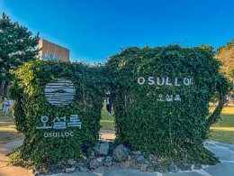 ไร่ชาเขียวโอซุลลอค O'Sulloc เกาะเชจูเกาหลีใต้