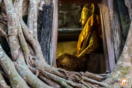 Authentic Thai way of living & non-touristic Floating Market