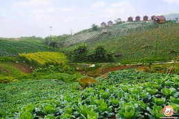 Khao Kho & Khao Yai Private Car with English speaking driver