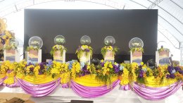 ภาพงาน effect iball co2 dryice papershoots ปี 67