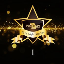 งานเวทีเกียรติยศ To Be Bright Stars 2017 ชุดที่ 1 