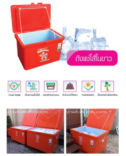 การขนส่งน้ำแข็ง