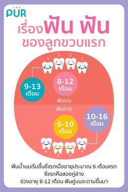 เรื่องฟัน ฟัน ของลูกขวบแรก