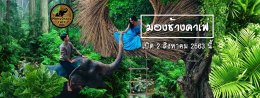 Pattaya Day Tour to Elephant Jungle 