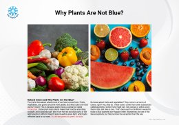 ทำไมพืชผักถึงไม่เป็นสีน้ำเงิน? Why Plants Are Not Blue?