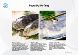 ปลาปักเป้า Fugu Pufferfish
