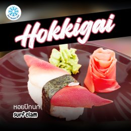 หอยปีกนก ฮกกิไก Hokkigai Surf clam ขายปลีก ขายส่ง Bigfridgeboy