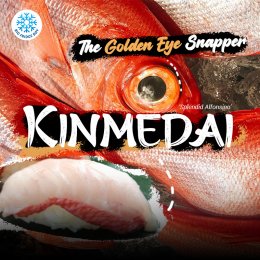 คิมเมได คินเมได Kinmedai Golden Eye Snapper