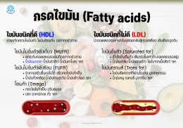 Olive oil น้ำมันมะกอก