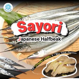 ซาโยริ ปลาปากเข็ม Sayori Japanese Halfbeak