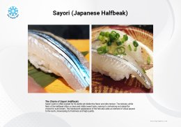 ซาโยริ ปลาปากเข็ม Sayori Japanese Halfbeak