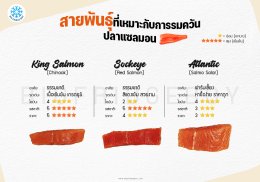 Best Species for Smoked salmon สายพันธุ์ที่เหมาะสำหรับรมควันปลาแซลมอน
