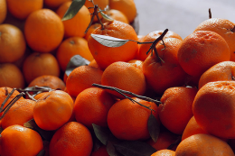 A Traditional Orange orchard Farm