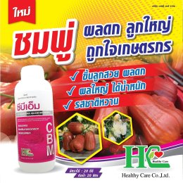 ซีบีเอ็ม ธาตุอาหารสำคัญของพืช