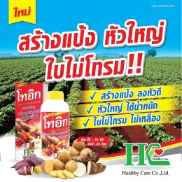 โทอิก ส่วนผสมของสารอาหารจำเป็นสำหรับพืชหัว ผลผลิตเต็มสวน