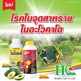 แบ็คสปิน+โดโลเน่ คู่แฝด ป้องกันกำจัดโรคที่เกิดจากเชื้อราในพืช