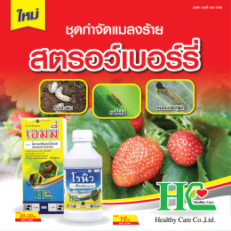 เอมมี่ บี้หนอนร้าย ตายสิ้นซาก!!!