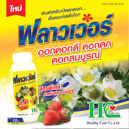 ฟลาวเวอร์ ต้นตำหรับเปิดตาดอก สั่งดอกได้ดั่งใจ