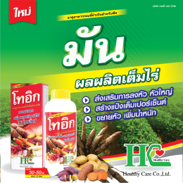 โทอิก ส่วนผสมของสารอาหารจำเป็นสำหรับพืชหัว ผลผลิตเต็มสวน