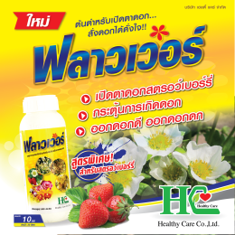 ฟลาวเวอร์ ต้นตำหรับเปิดตาดอก สั่งดอกได้ดั่งใจ