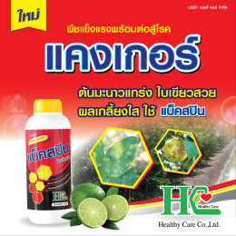 เสริมความแข็งแรงให้กับพืชพร้อมสู้โรคแคงเกอร์