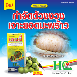 เอมมี่ บี้หนอนร้าย ตายสิ้นซาก!!!