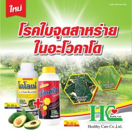 แบ็คสปิน กำจัดเชื้อได้ครอบคลุม