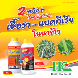 แบ็คสปิน กำจัดเชื้อได้ครอบคลุม