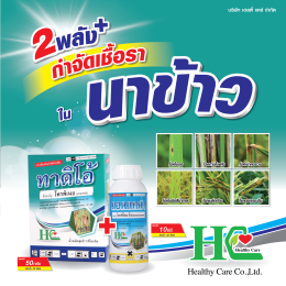 ทาดิโอ้ ป้องกันกำจัดโรคพืชที่เกิดเชื้อราในนาข้าว