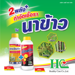 แบ็คสปิน กำจัดเชื้อได้ครอบคลุม