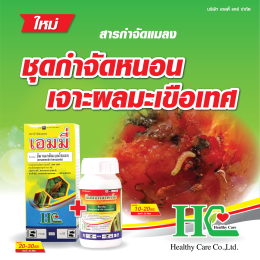 เอมมี่ บี้หนอนร้าย ตายสิ้นซาก!!!