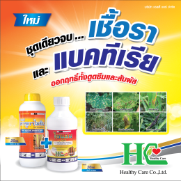 ไซแลม 2 พลังบวก ป้องกันกำจัดเชื้อราได้เด็ดขาด