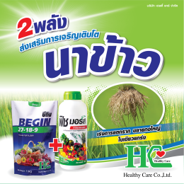 บีกิน ปุ๋ยเกล็ด สูตร 27-18-9