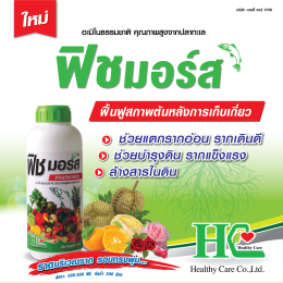 ฟิชมอร์ส เร่งต้น ขยายใบ ฟื้นต้น บำรุงดิน ผลผลิตเพิ่มพูน