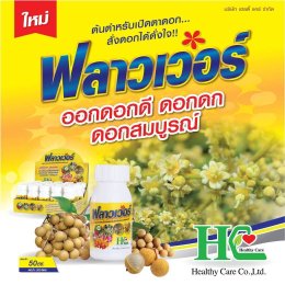 ฟลาวเวอร์ ต้นตำหรับเปิดตาดอก สั่งดอกได้ดั่งใจ