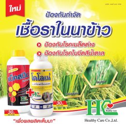 แบ็คสปิน กำจัดเชื้อได้ครอบคลุม