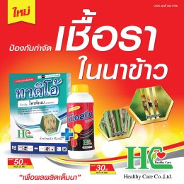 แบ็คสปิน กำจัดเชื้อได้ครอบคลุม