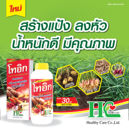 โทอิก ส่วนผสมของสารอาหารจำเป็นสำหรับพืชหัว ผลผลิตเต็มสวน